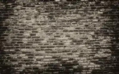 Pourquoi les murs en pierre du Cotentin se dégradent plus vite