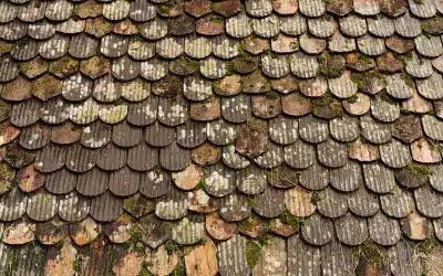 Toiture ancienne Cotentin : signes d’usure et solutions adaptées